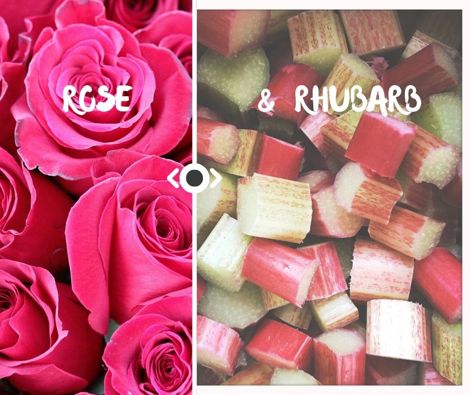 Rose and Rhubarb