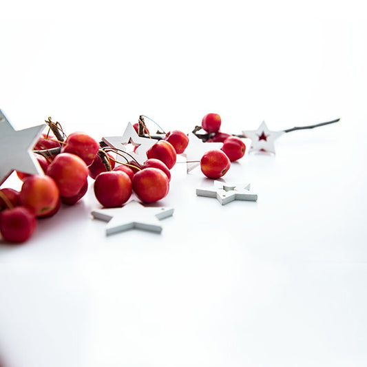 Christmas Berries