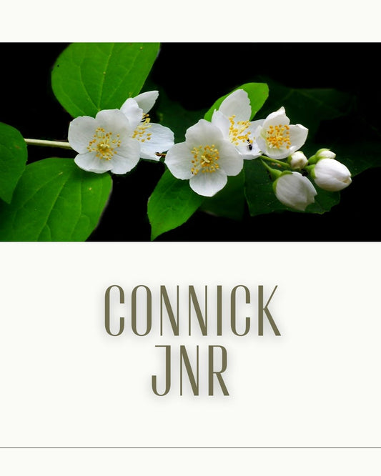 Connick Junior